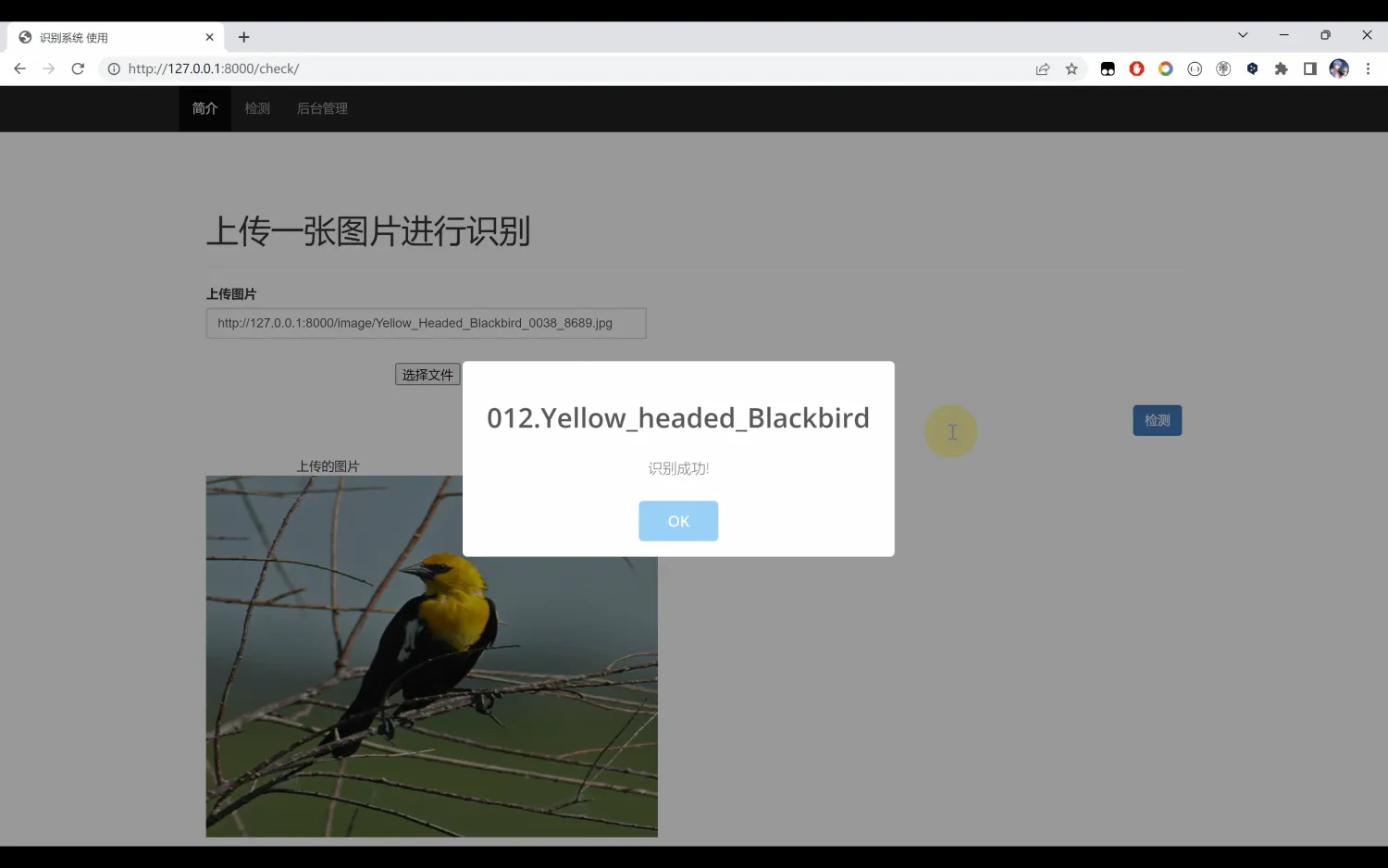 鸟类识别系统Python+卷积神经网络算法+深度学习+人工智能+TensorFlow+ResNet50算法模型+图像识别-阿里云开发者社区