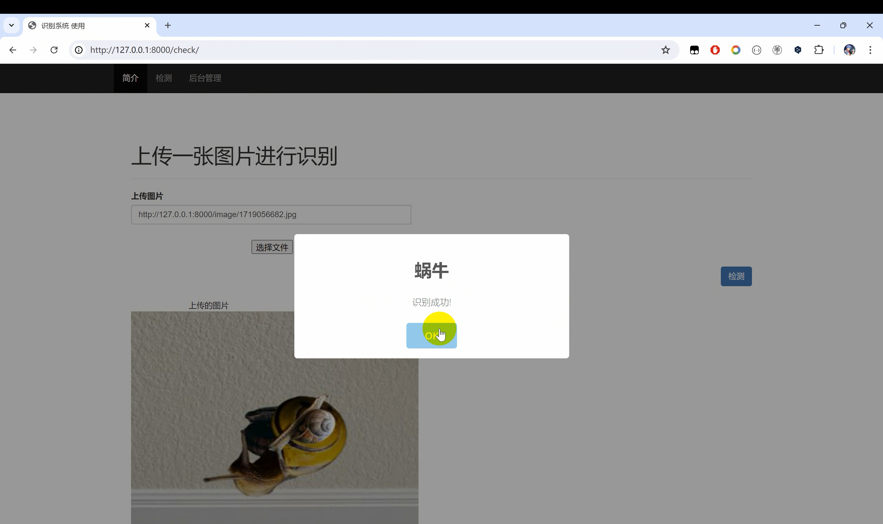 【昆虫识别系统】图像识别Python+卷积神经网络算法+人工智能+深度学习+机器学习+TensorFlow+ResNet50-阿里云开发者社区
