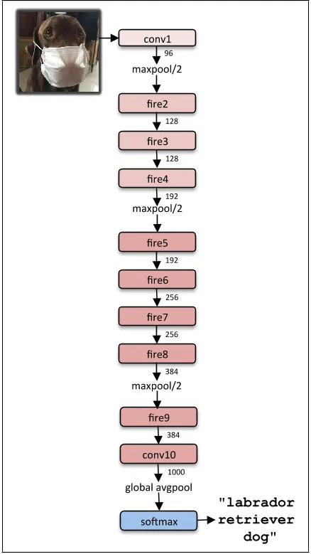 数据科学家必须知道的 10 个深度学习架构