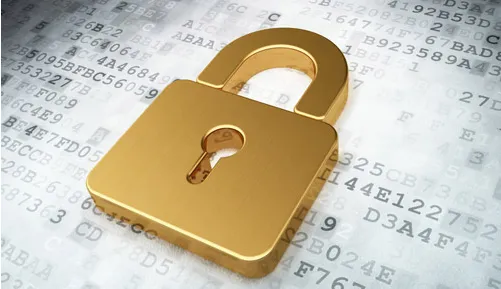 这家信息安全初创公司记录一年的网络数据