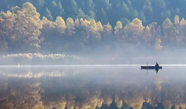 垂钓者：世界上最先进的漏洞利用工具
