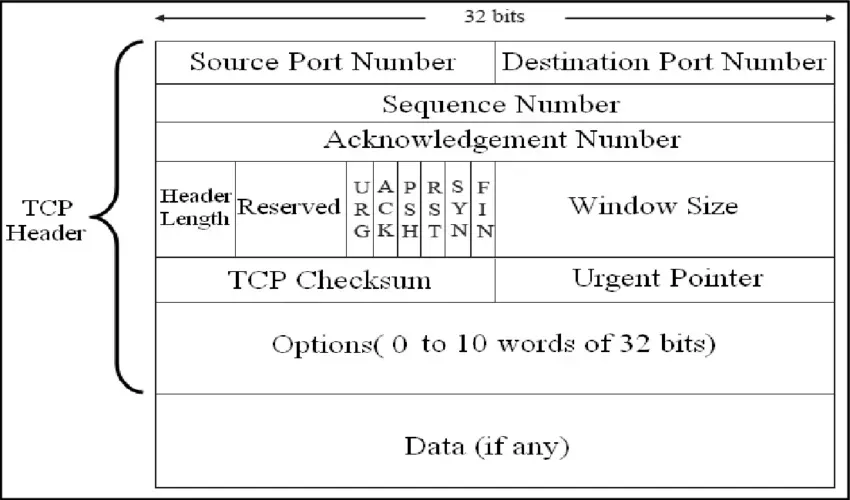 TCP segment