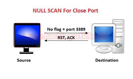 Wireshark如何捕获网络流量数据包