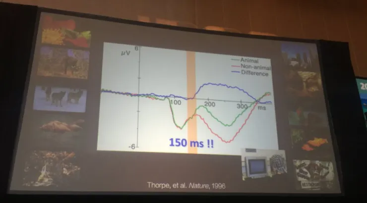 李飞飞：为什么计算机视觉对机器人如此重要？ | IROS 2017