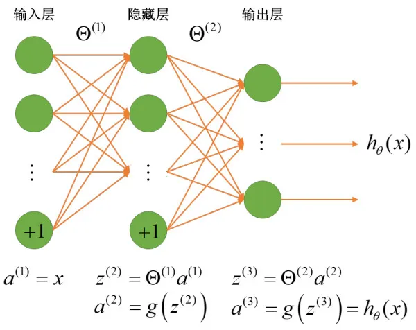 理清神经网络中的数学知识