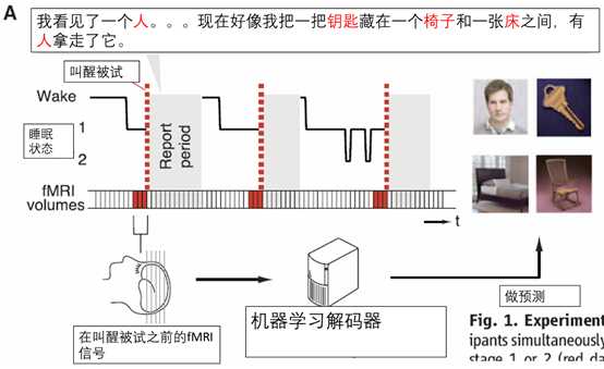 用深度学习来解析梦境中出现的物体