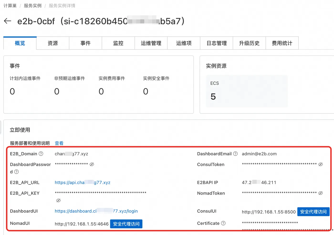 计算巢服务实例输出与访问入口
