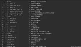  vue-cli从0到1快速入门！