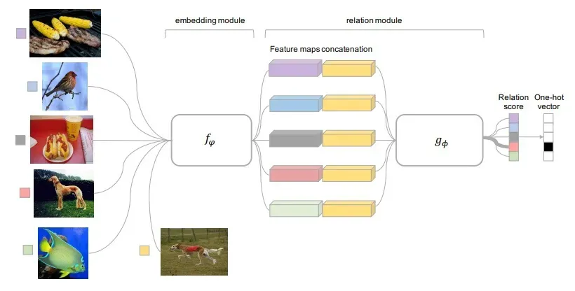 relation-network