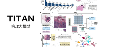 TITAN：哈佛医学院推出多模态全切片病理基础模型，支持病理报告生成、跨模态检索