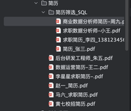 使用Python和PDFPlumber进行简历筛选：以SQL技能为例