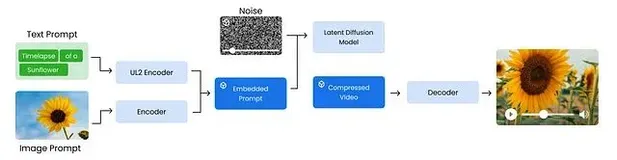 从零复现Google Veo 3：从数据预处理到视频生成的完整Python代码实现指南