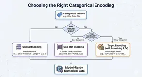 机器学习特征工程：分类变量的数值化处理方法