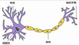 神经网络入门基础知识