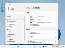 【清爽加速】Windows 11 Pro 24H2-Emmy精简系统