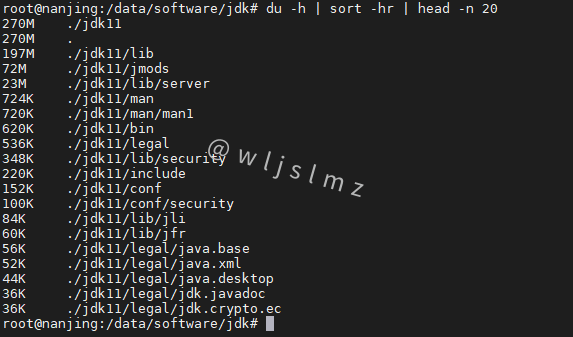 教你如何快速在Linux中找到某个目录中最大的文件