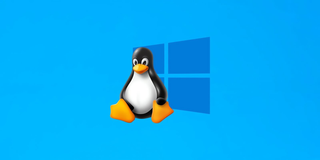 这11个出色的Linux 发行版可以替代Windows 11使用，无缝切换！