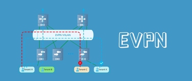 二层网络扩展能力：为什么 EVPN 比 VPLS 更好？