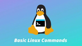 Linux 初学者必学的 10 个命令，学习！