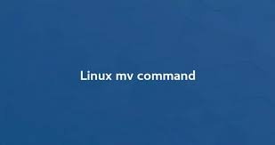 在 Linux 中重命名文件夹中的所有文件