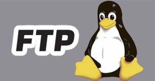 如何在 Ubuntu Linux 中设置和使用 FTP 服务器？