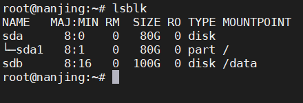 如何在 Linux 上使用 lsblk 和 blkid 命令？