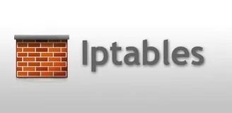 如何使用iptables在Linux中进行流量转发？