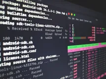 如何查找 Linux 操作系统的安装日期和时间？