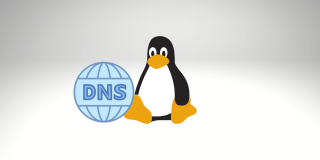 如何在 Linux 上刷新本地 DNS 缓存？