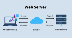 Web 服务器与应用程序服务器：有什么区别？