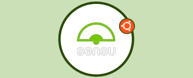 如何在 Rocky Linux 9 上安装 Sensu 监控解决方案？