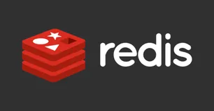 为什么要在 Redis 中存储两次同一份数据？