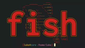 如何在 Linux 中安装 Fish Shell（带 Starship）？