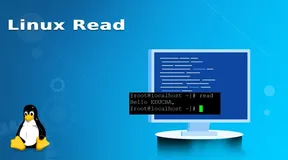 Linux中的read命令详解：交互性脚本编写的利器