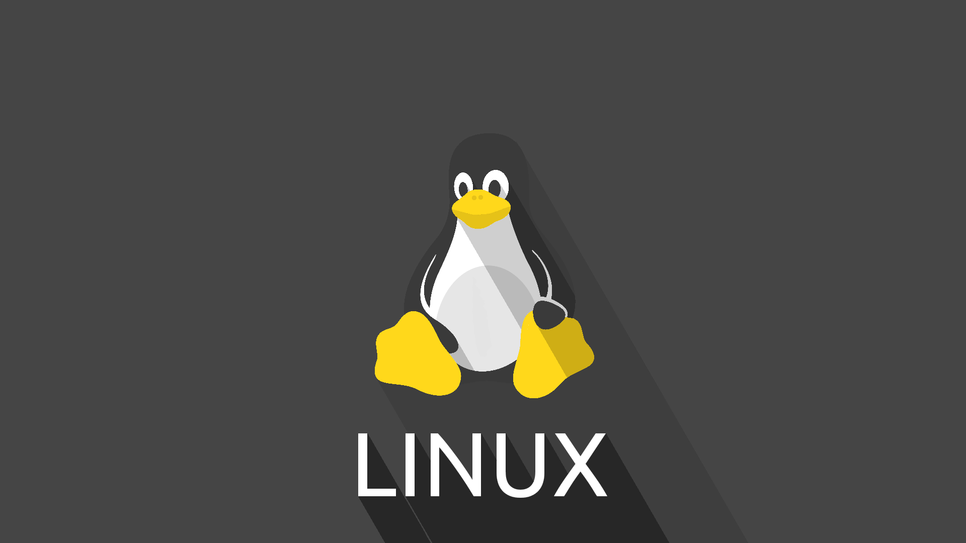 Linux 权限常用命令