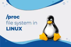 如何使用/proc文件系统监控Linux系统？