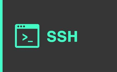 Linux SSH 连接在一段时间内没有活动时可能会自动断开，怎么办？