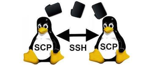 如何使用scp命令在Windows系统和Linux系统之间相互传输文件？