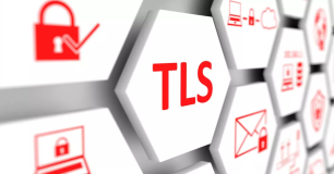 如何在Spring Integration中获取TLS客户端证书？