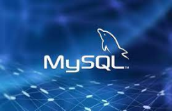 MySQL启动与登录命令详解