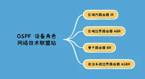 OSPF 四种设备角色：IR、ABR、BR、ASBR