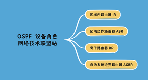 OSPF 四种设备角色：IR、ABR、BR、ASBR