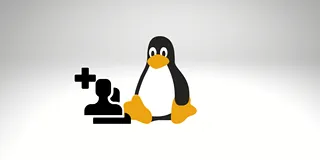 如何在 Debian 12 上添加和删除用户？