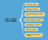 一文带你了解OSPF 七种LSA类型，很全！