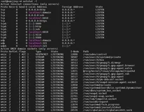 Linux 中的 Netstat 命令有什么用处？教你 8 个 Netstat 命令，玩转网络连接！