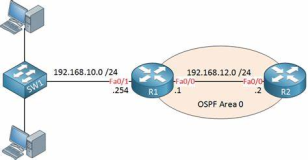 OSPF被动接口：优化网络性能的关键策略