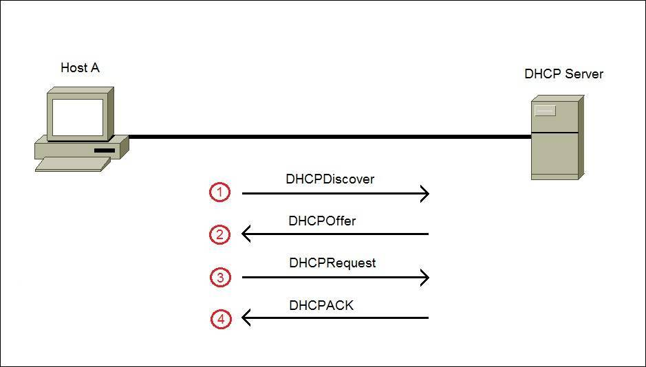 深入探讨DHCP客户端协议：实现网络自动化和IP地址分配