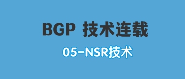 BGP 技术连载：NSR技术，一种控制平面倒换而邻居不感知的可靠性技术