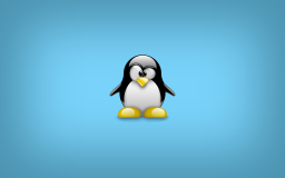 Linux Bash 脚本中的 IFS 是什么？