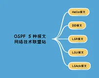OSPF5种报文：Hello报文、DD报文、LSR报文、LSU报文和LSAck报文